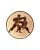 emblemat-aluminiowy-fi50-eat11060-30-karate.jpg