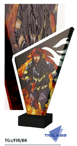 tg1fir.PNG