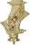 F145_G_srub.png